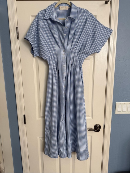 Anthropologie Dresses & Skirts - Anthropologie Exquise Tobie Pleated Button-Front Midi Dress | Blue Gingham | M